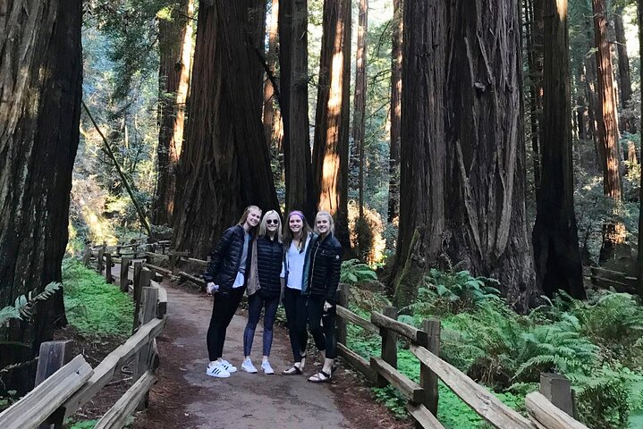 3-Hour Private Muir Giant Redwoods Trees and Sausalito Tour - Photo 1 of 20